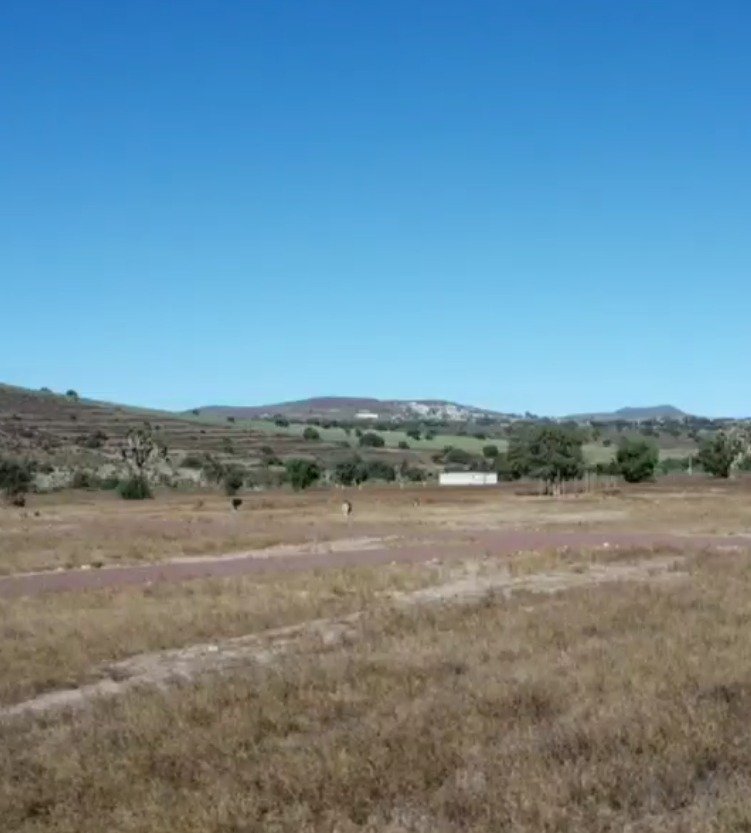Desarrollo Mi Ranchito 2