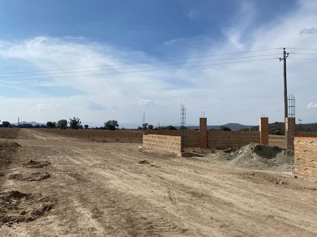 Desarrollo Rancho Alegre