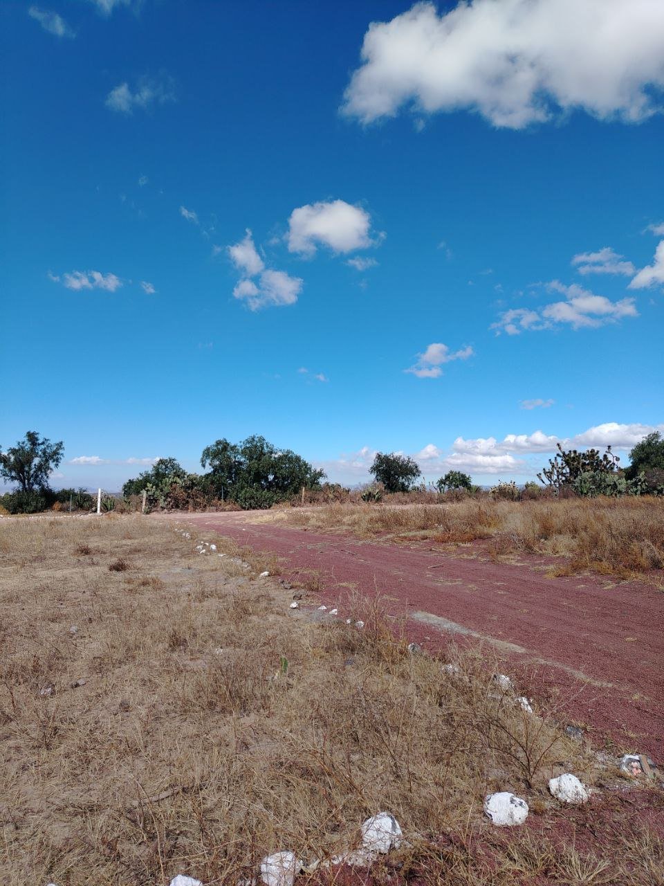 Desarrollo Santa Bárbara